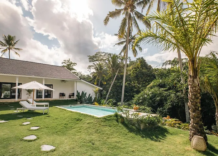 Bos Bali