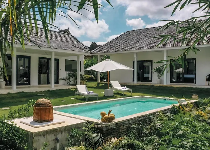 Bos Bali